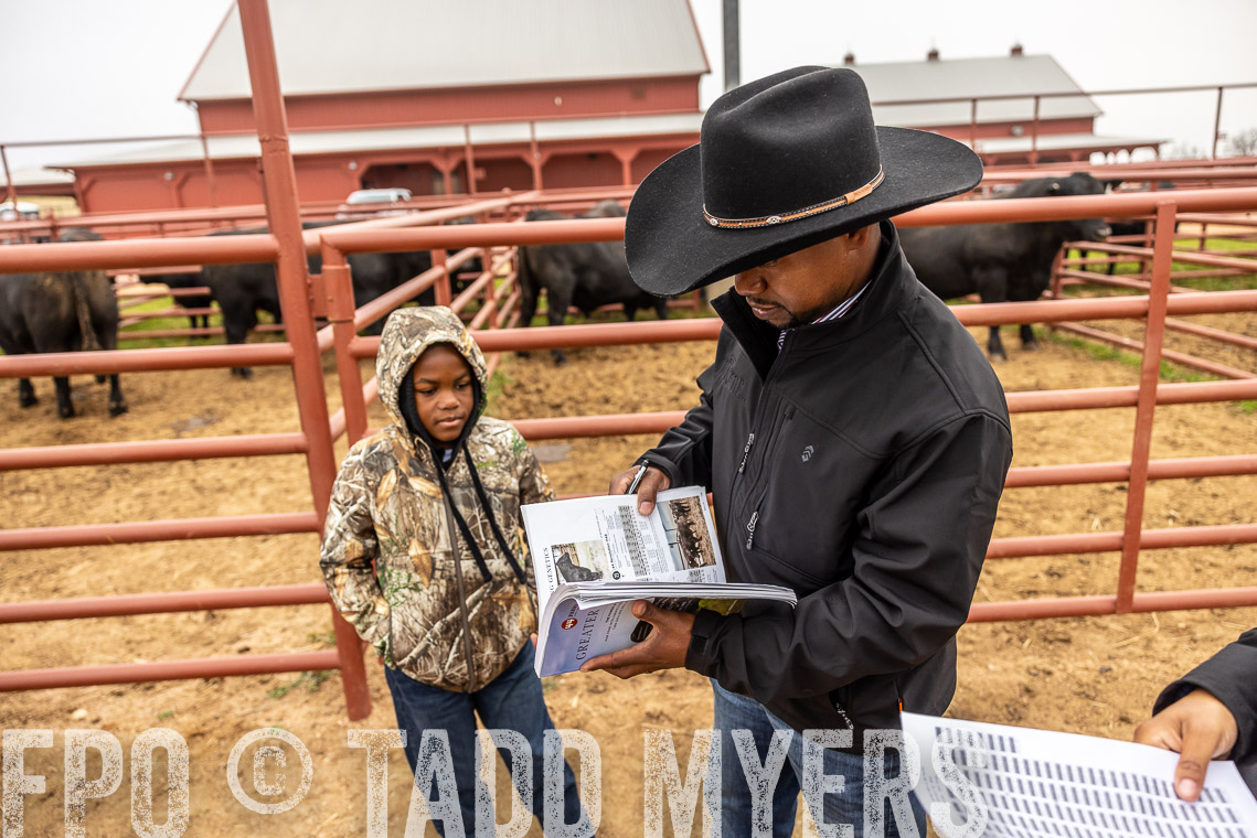 TMyers_SpringBullSale_Cameron_Feb2023-529535