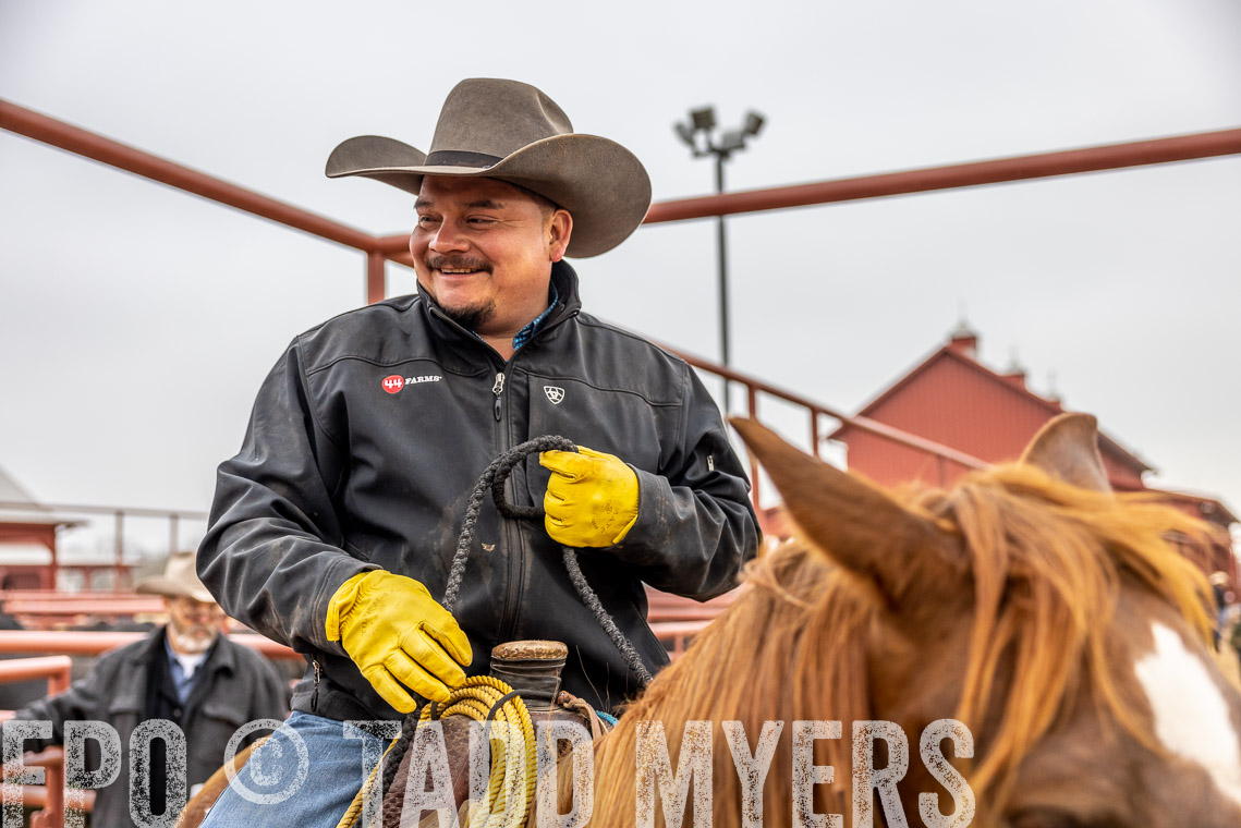 TMyers_SpringBullSale_Cameron_Feb2023-529601