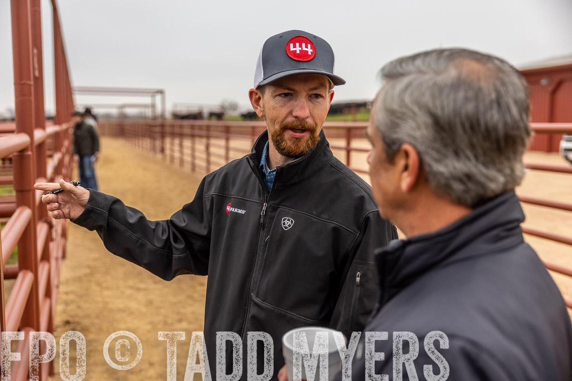 TMyers_SpringBullSale_Cameron_Feb2023-529615