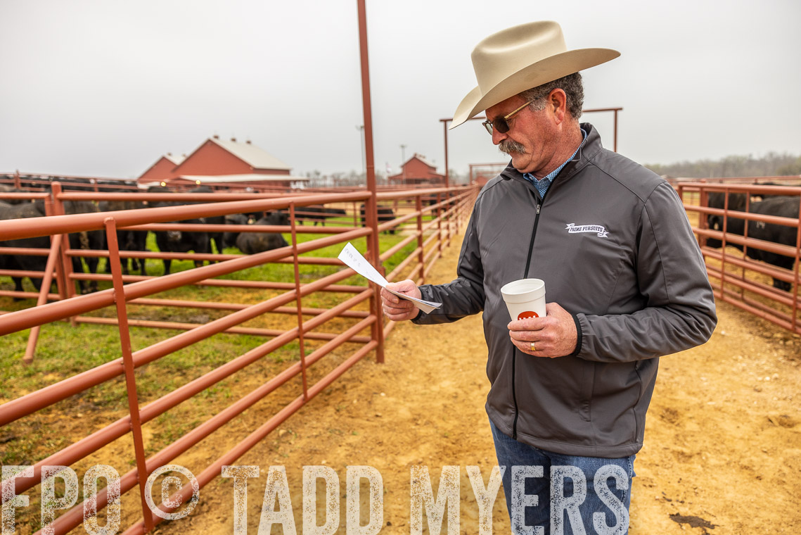 TMyers_SpringBullSale_Cameron_Feb2023-529669