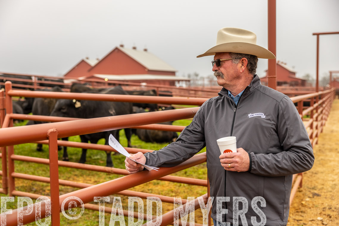 TMyers_SpringBullSale_Cameron_Feb2023-529680
