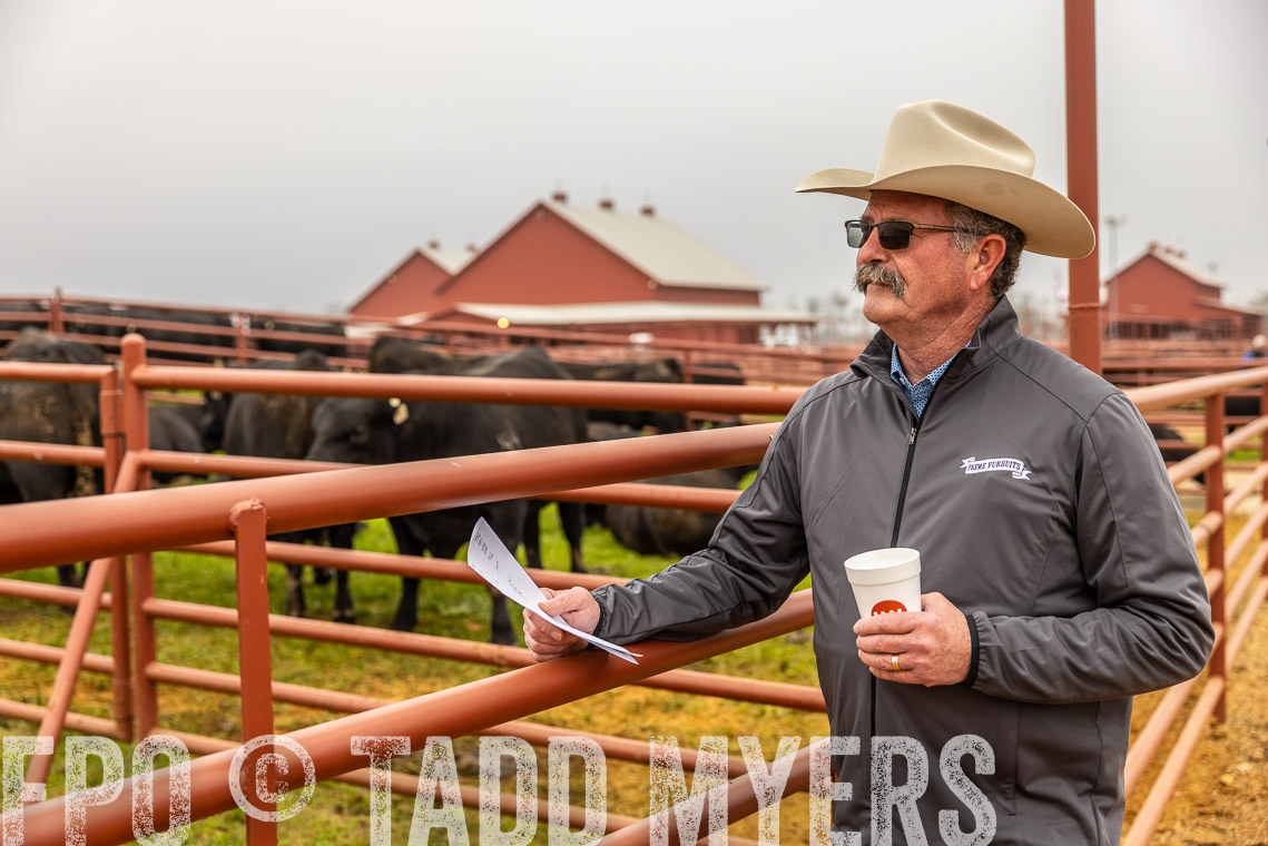 TMyers_SpringBullSale_Cameron_Feb2023-529685