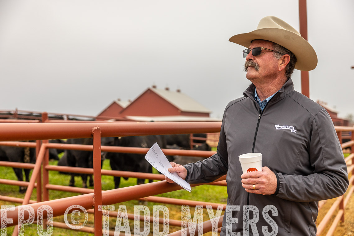 TMyers_SpringBullSale_Cameron_Feb2023-529688