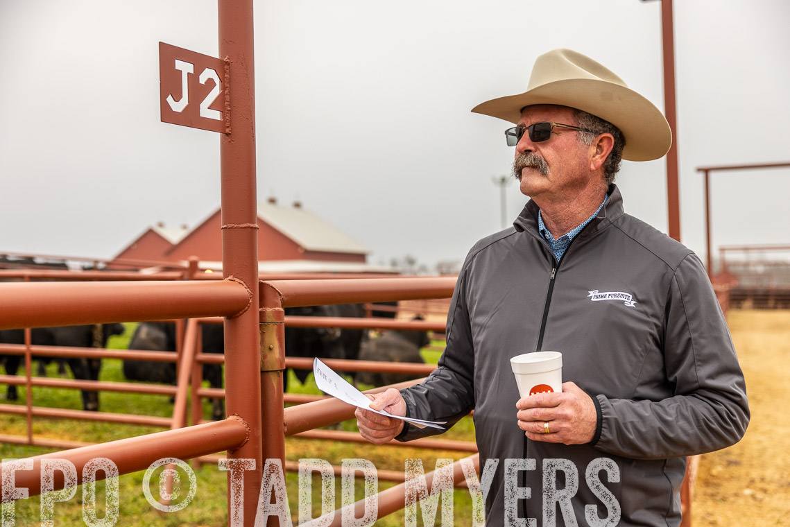 TMyers_SpringBullSale_Cameron_Feb2023-529697