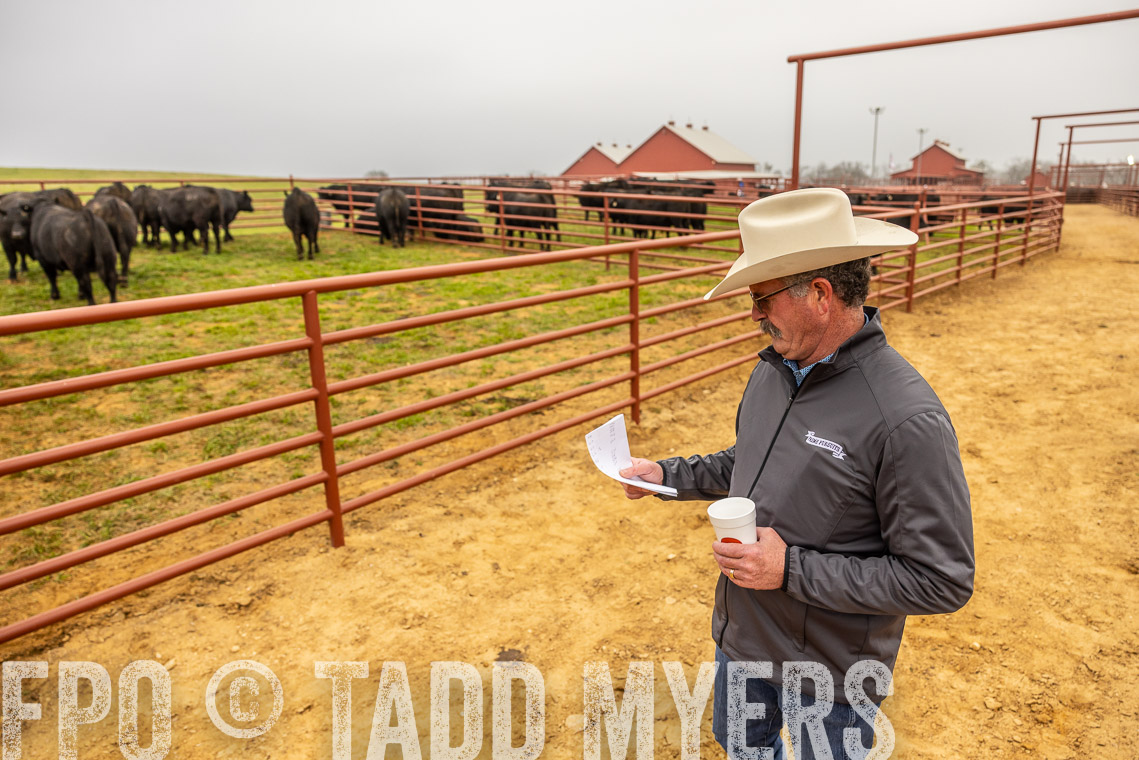 TMyers_SpringBullSale_Cameron_Feb2023-529743