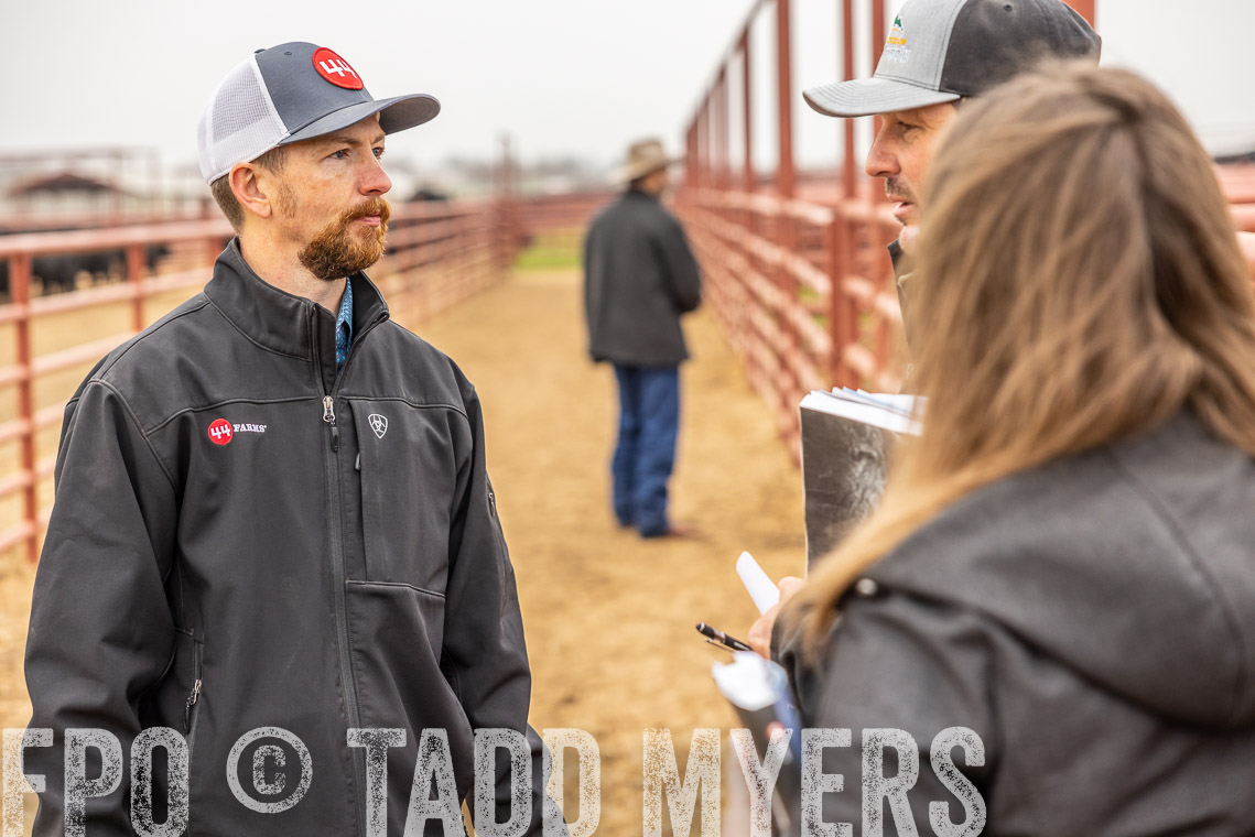 TMyers_SpringBullSale_Cameron_Feb2023-529757