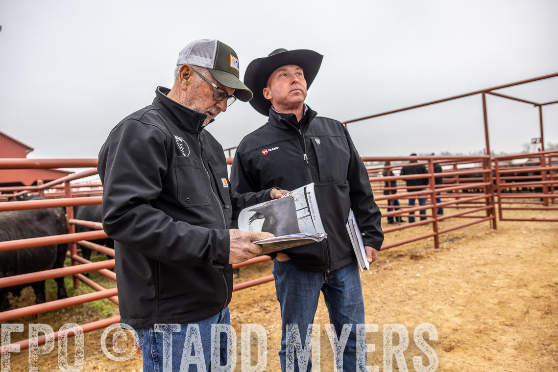 TMyers_SpringBullSale_Cameron_Feb2023-529783