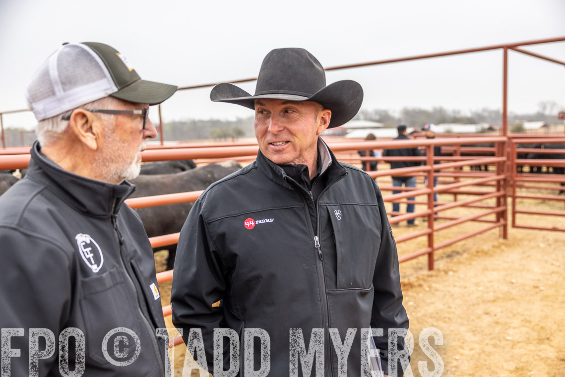 TMyers_SpringBullSale_Cameron_Feb2023-529797