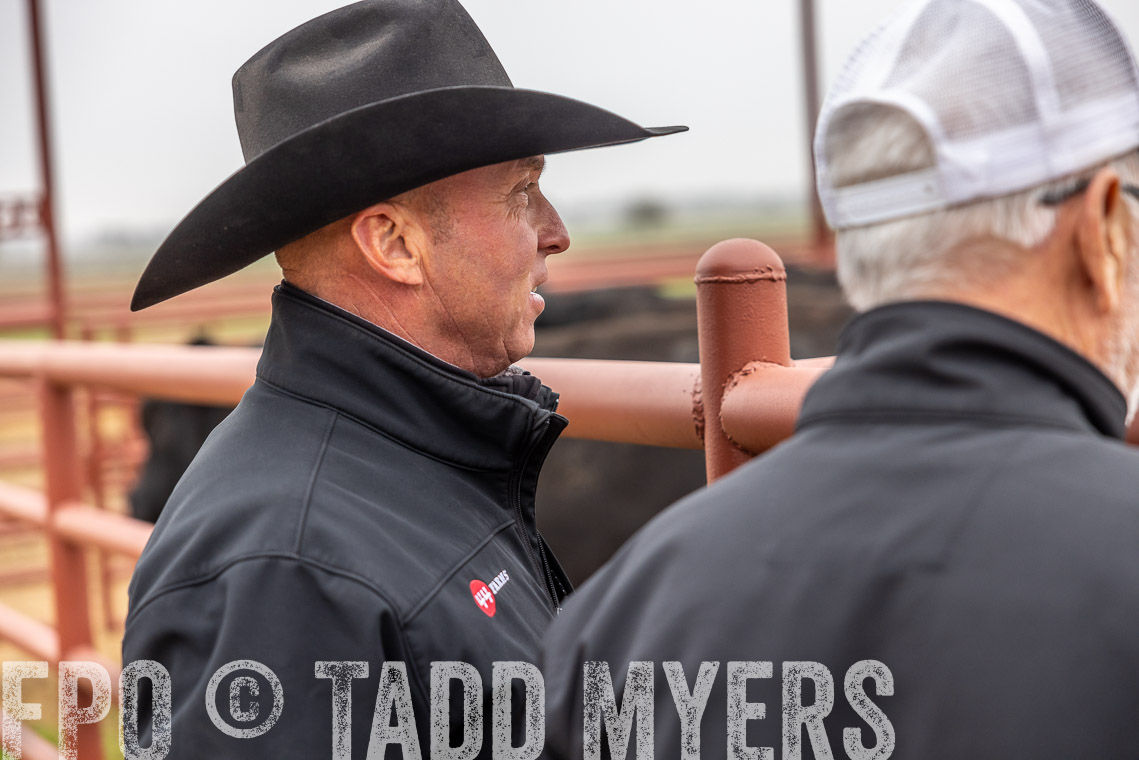 TMyers_SpringBullSale_Cameron_Feb2023-529800