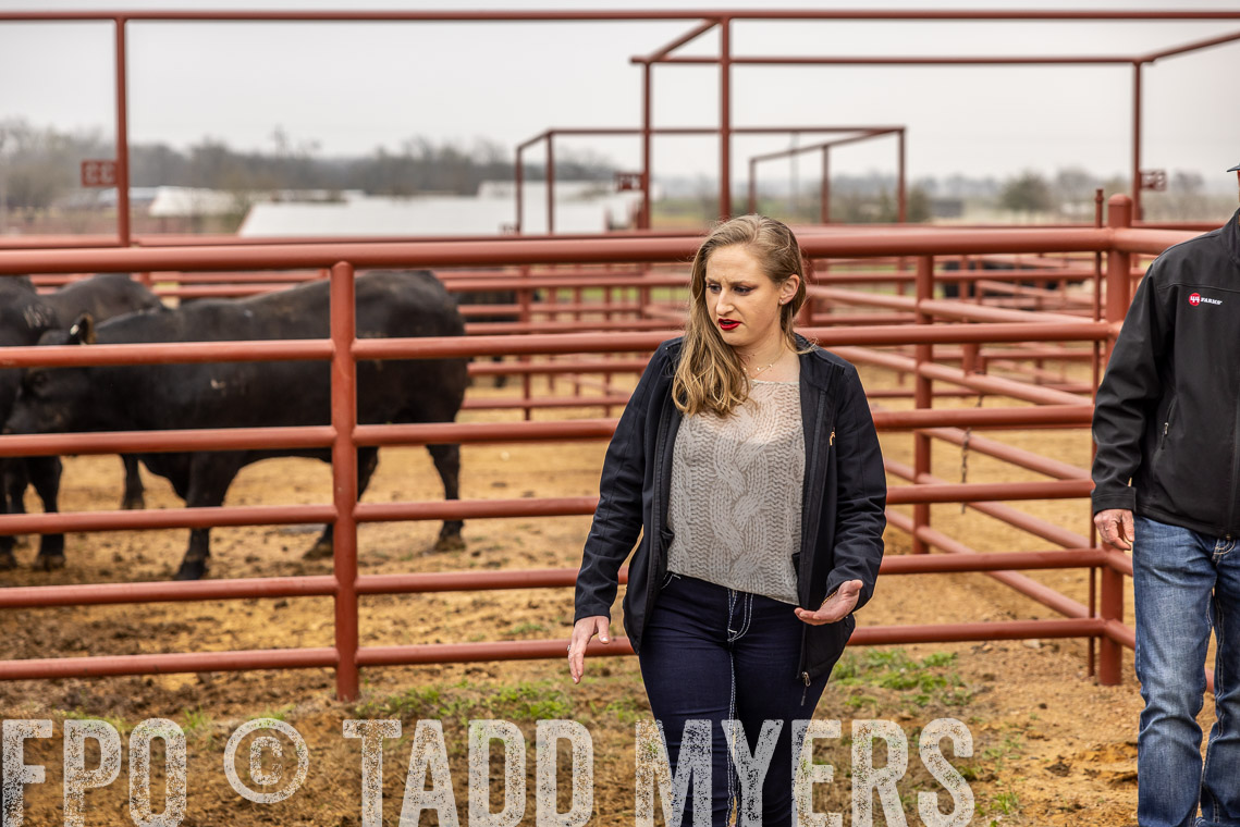 TMyers_SpringBullSale_Cameron_Feb2023-529863