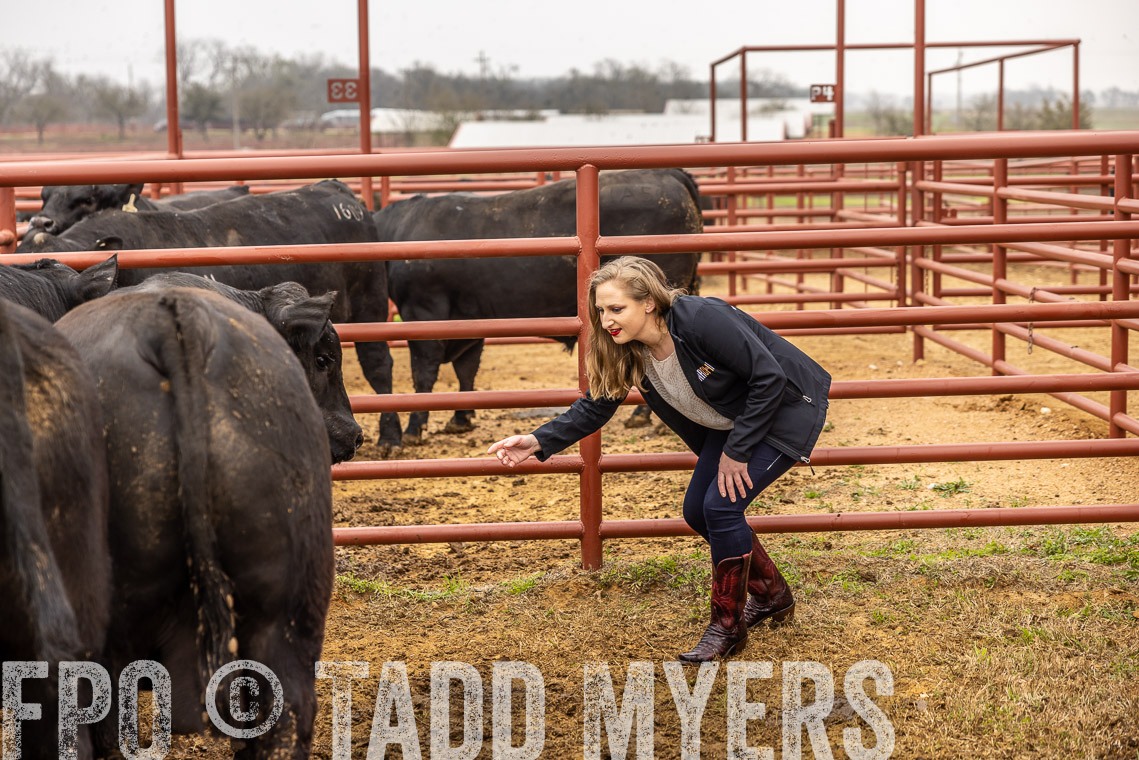 TMyers_SpringBullSale_Cameron_Feb2023-529868