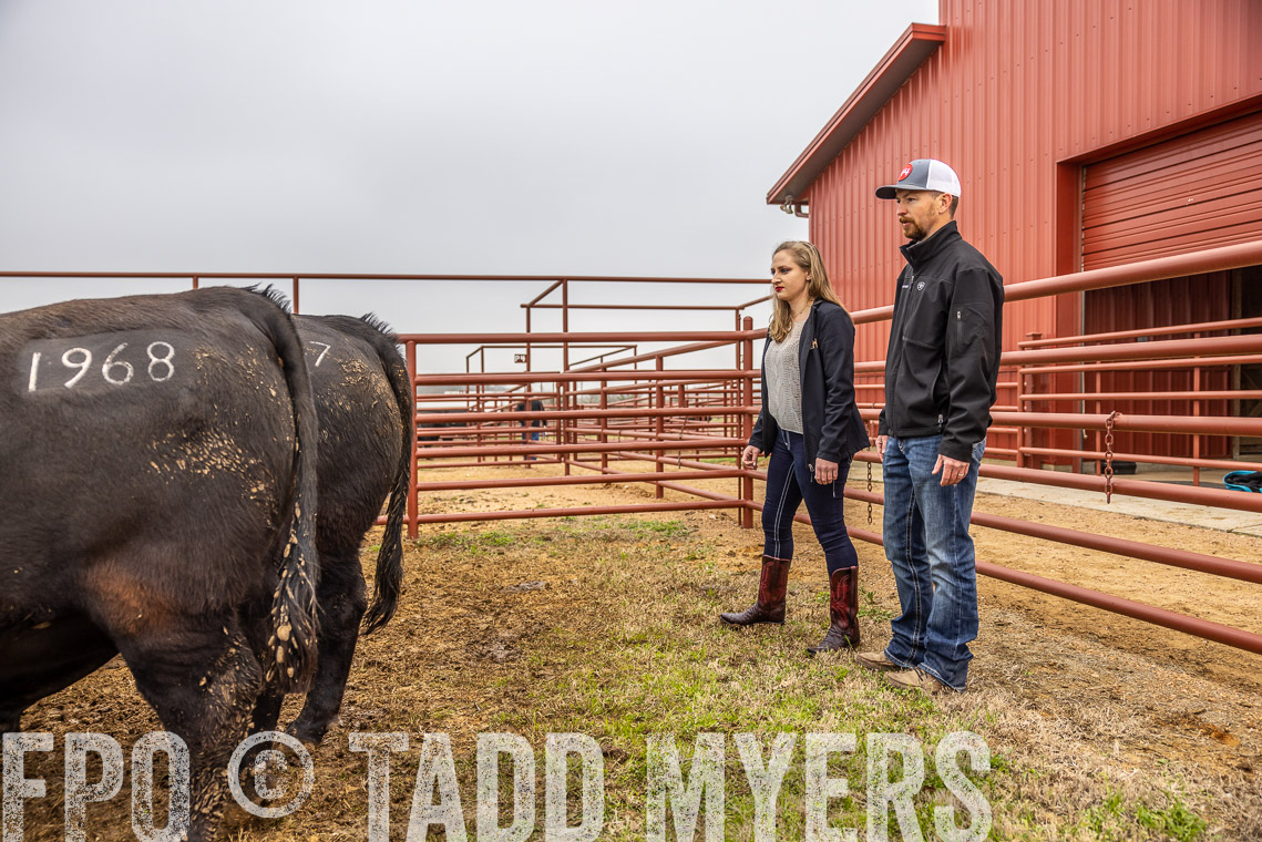TMyers_SpringBullSale_Cameron_Feb2023-529883