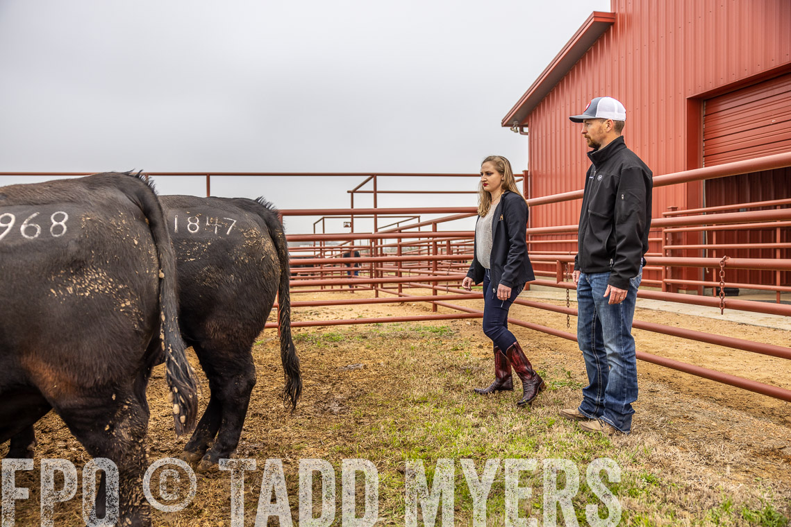 TMyers_SpringBullSale_Cameron_Feb2023-529885