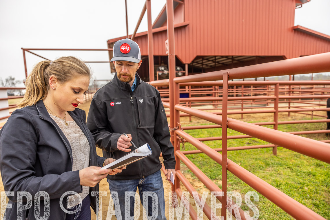 TMyers_SpringBullSale_Cameron_Feb2023-529996