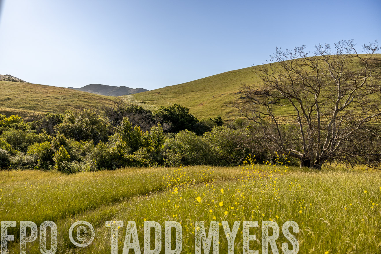 TMyers_CalPoly_CA_May2023-520086