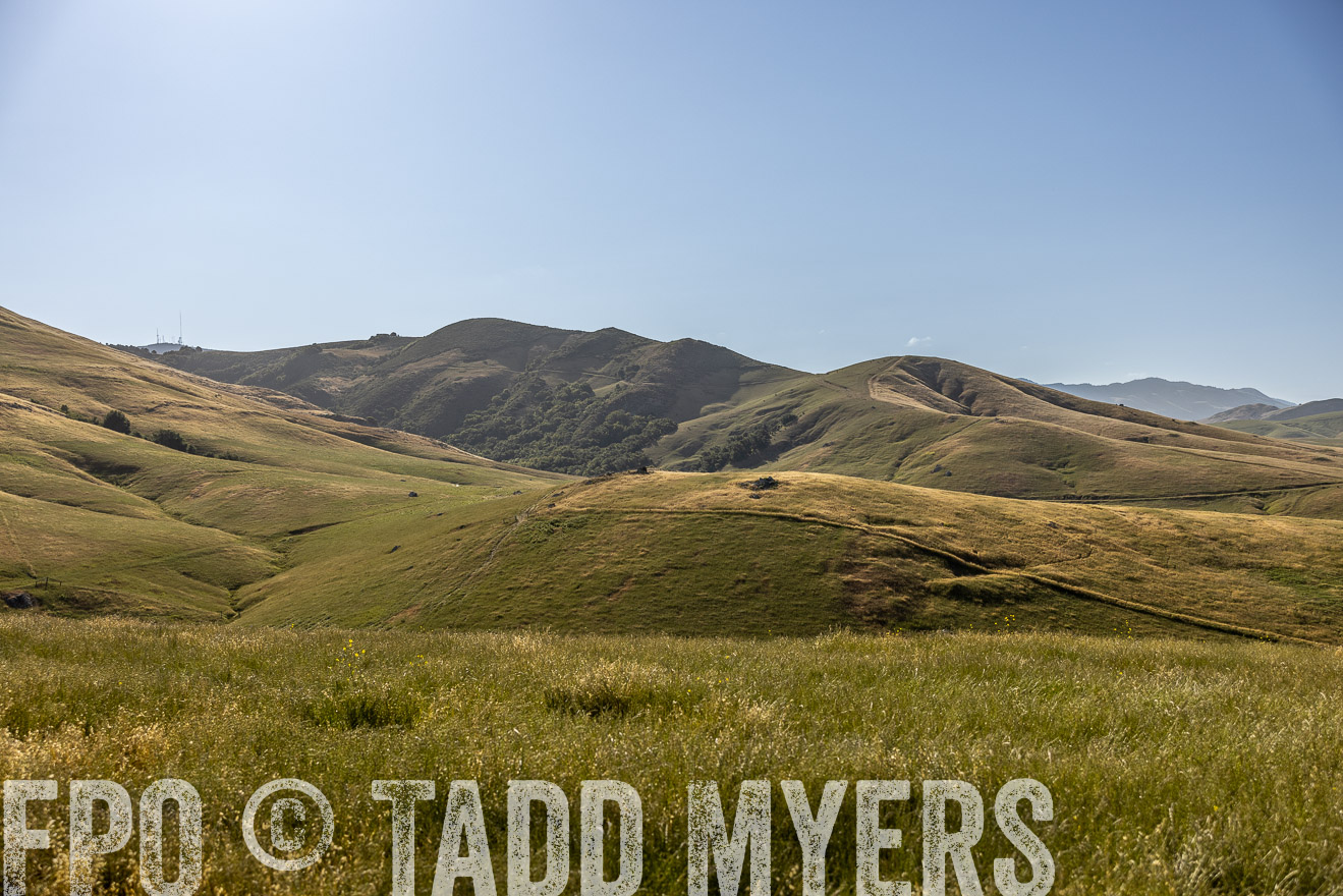 TMyers_CalPoly_CA_May2023-520111