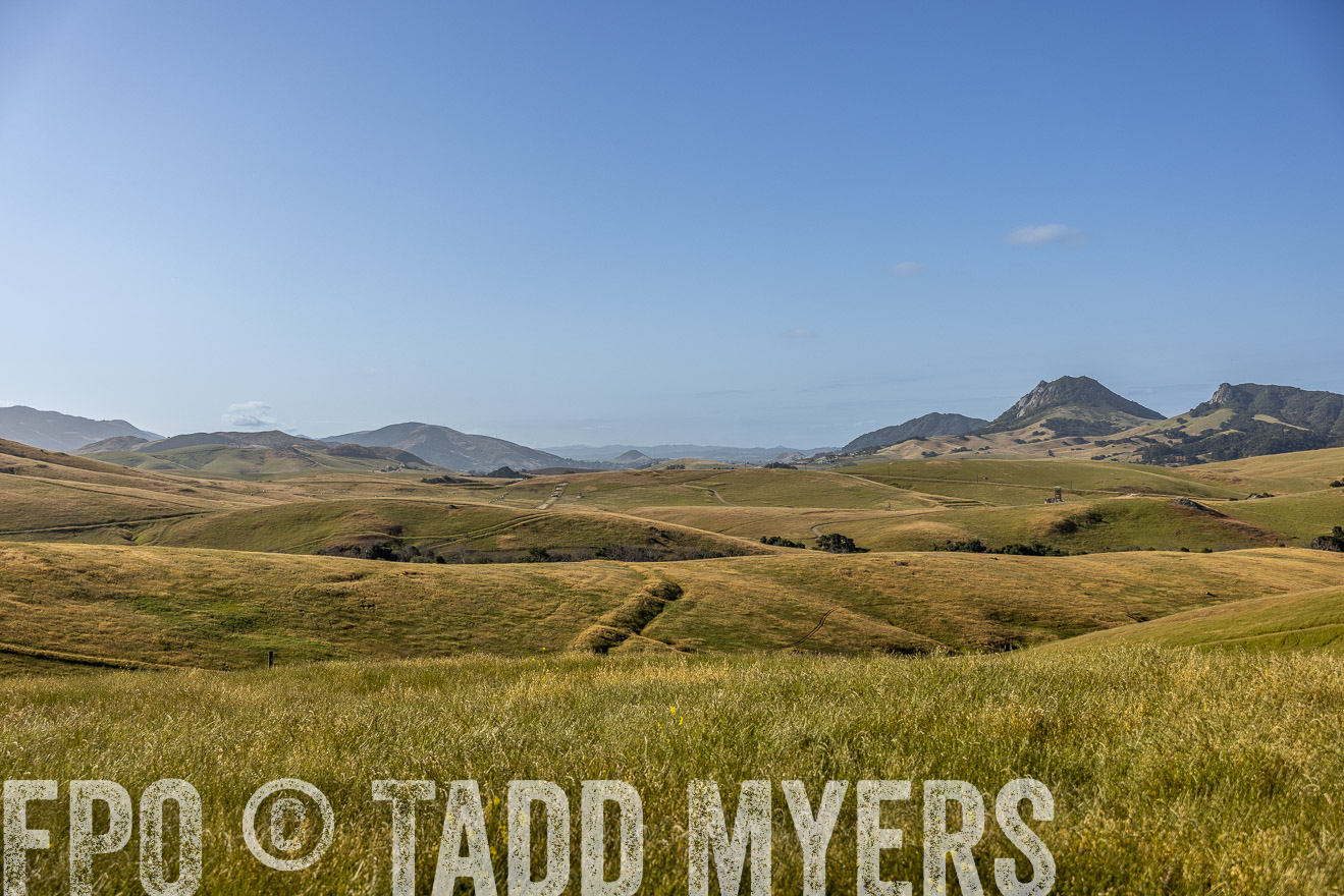 TMyers_CalPoly_CA_May2023-520113