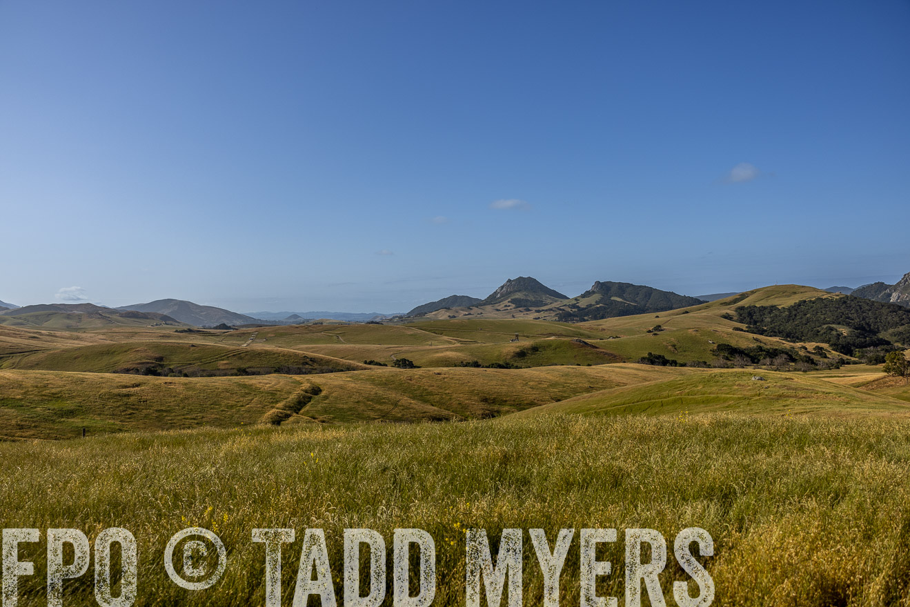 TMyers_CalPoly_CA_May2023-520115
