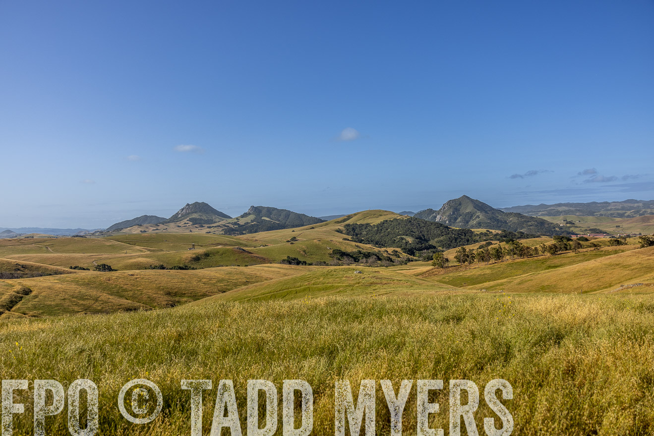 TMyers_CalPoly_CA_May2023-520133