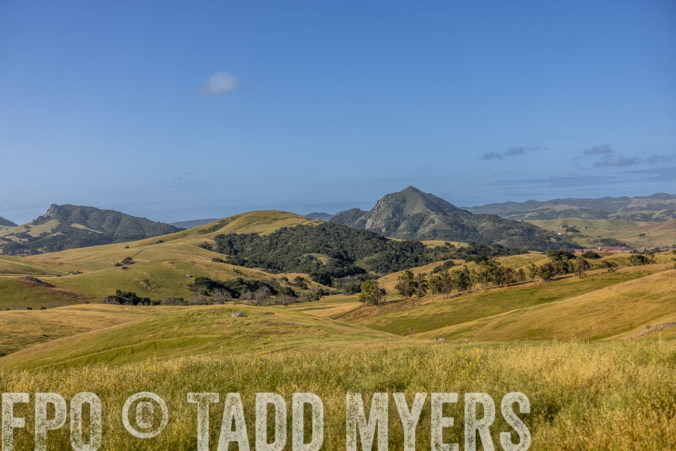 TMyers_CalPoly_CA_May2023-520136