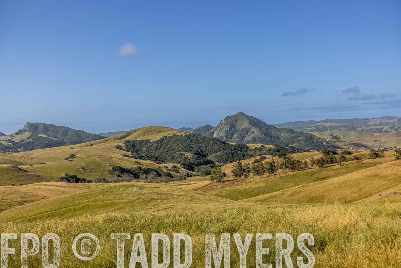 TMyers_CalPoly_CA_May2023-520140