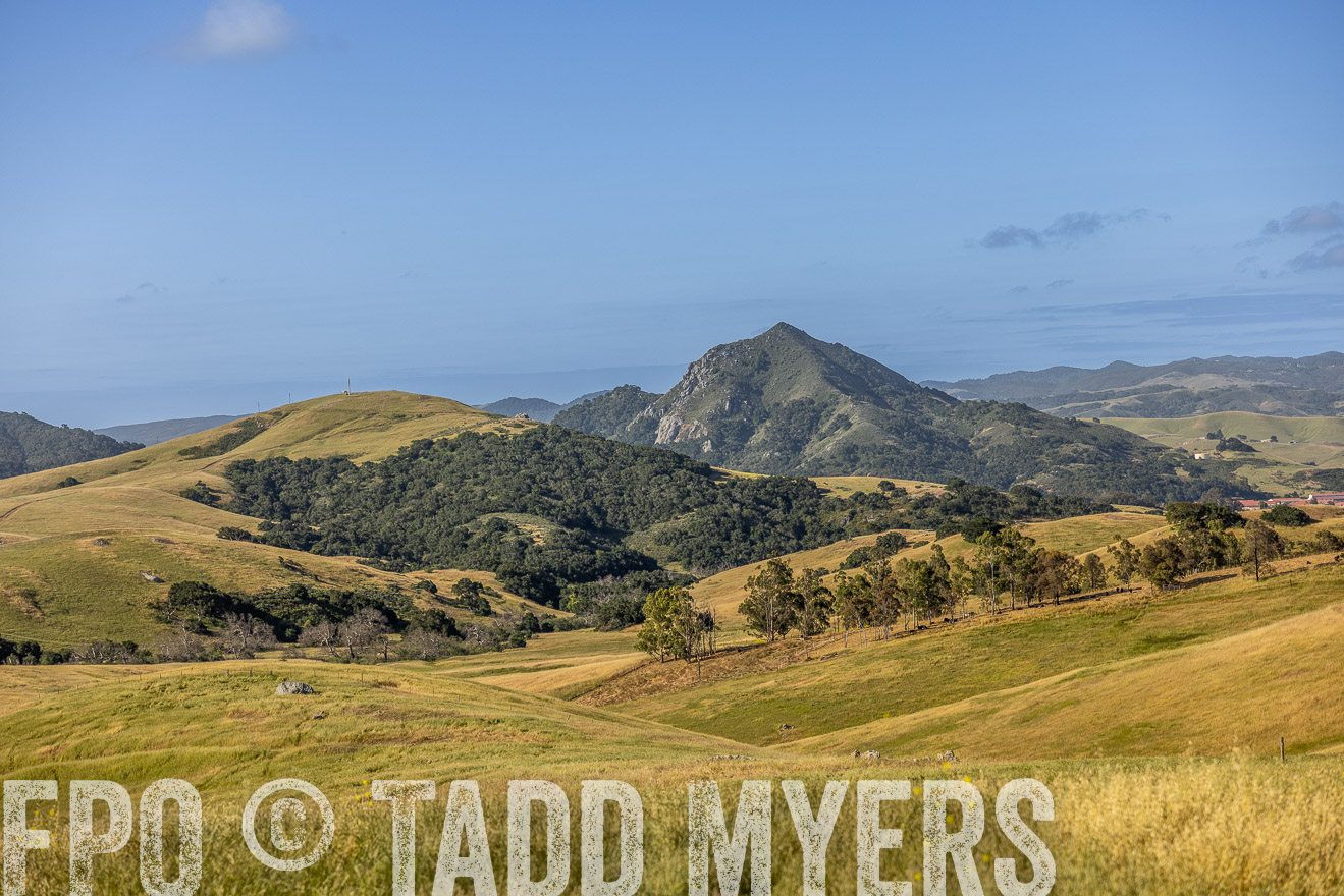 TMyers_CalPoly_CA_May2023-520145