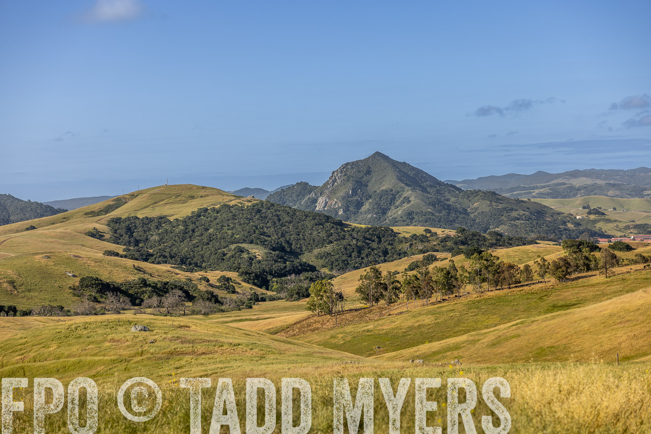 TMyers_CalPoly_CA_May2023-520156