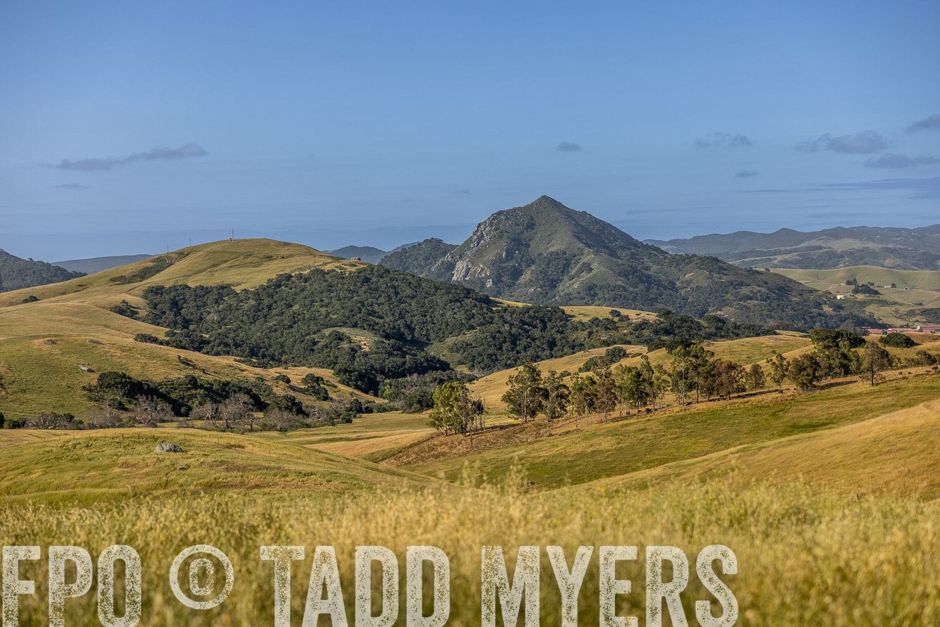 TMyers_CalPoly_CA_May2023-520162