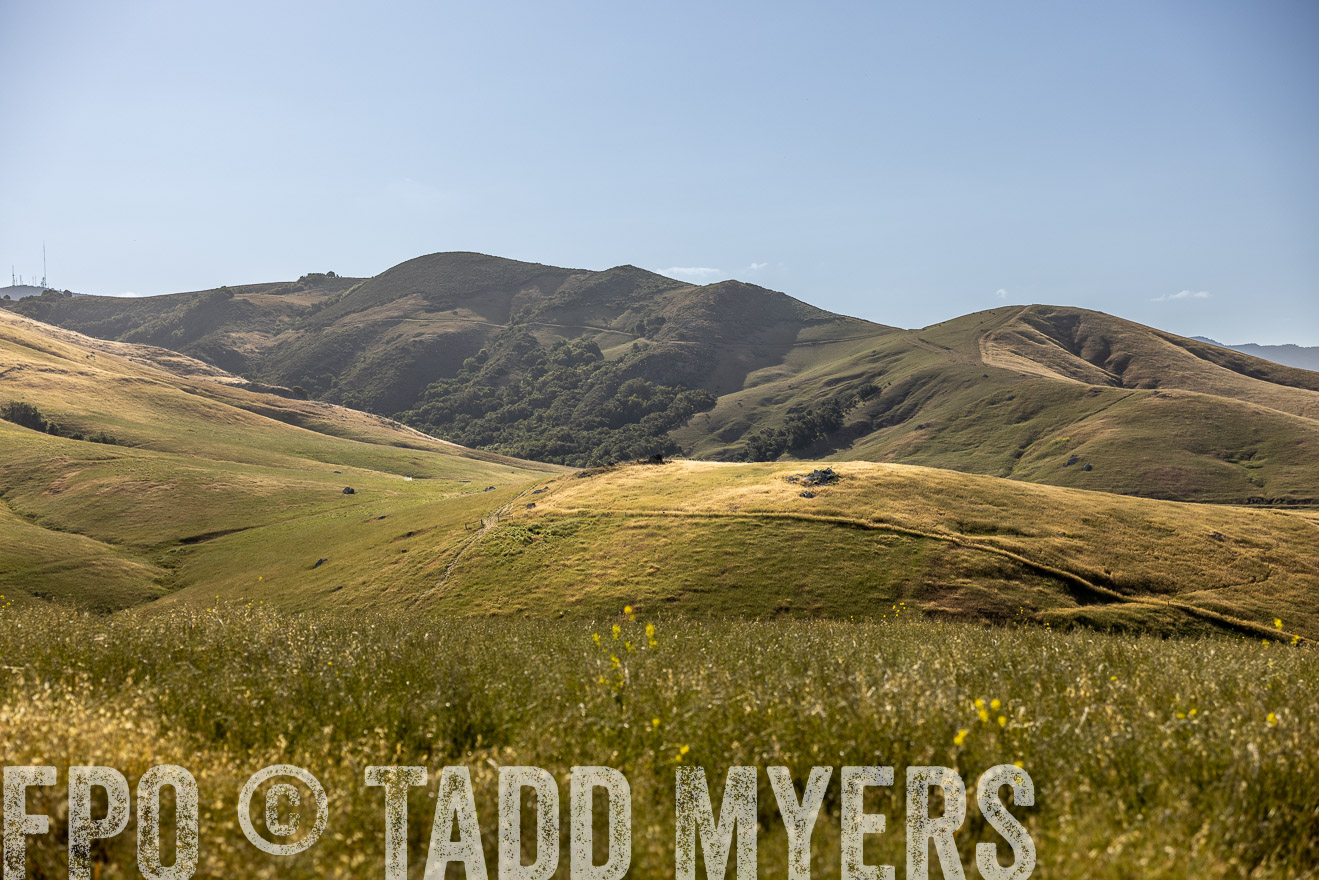 TMyers_CalPoly_CA_May2023-520171