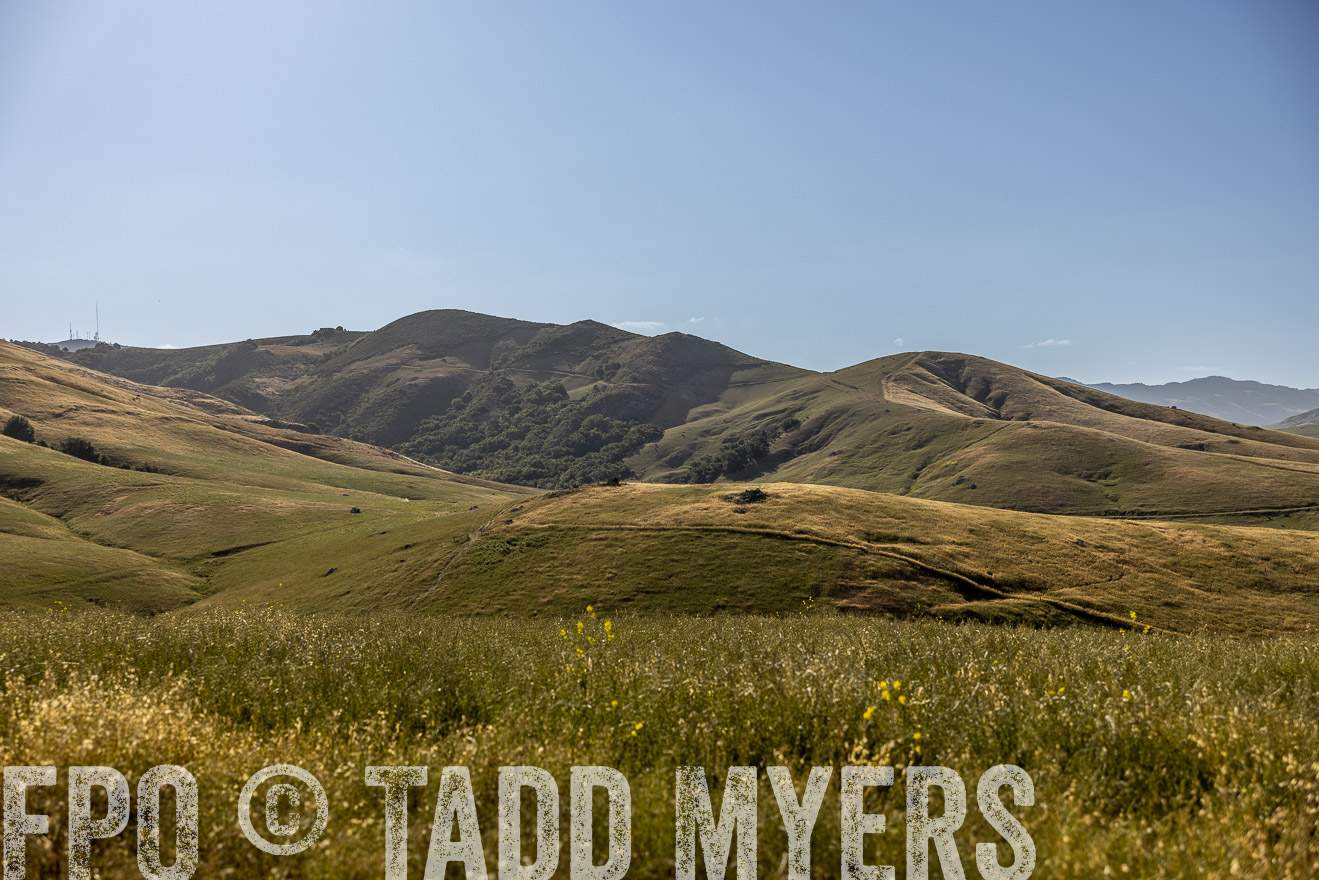 TMyers_CalPoly_CA_May2023-520175