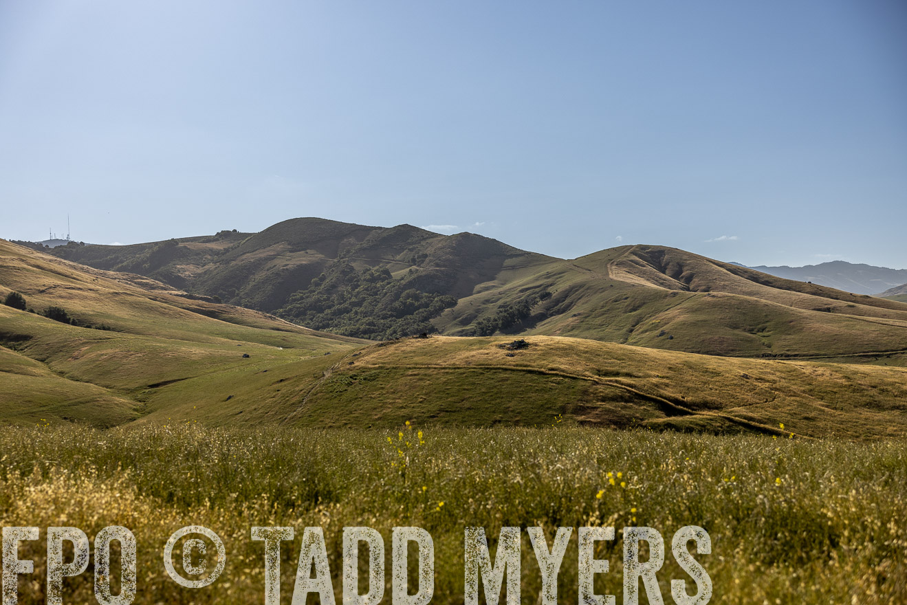 TMyers_CalPoly_CA_May2023-520180