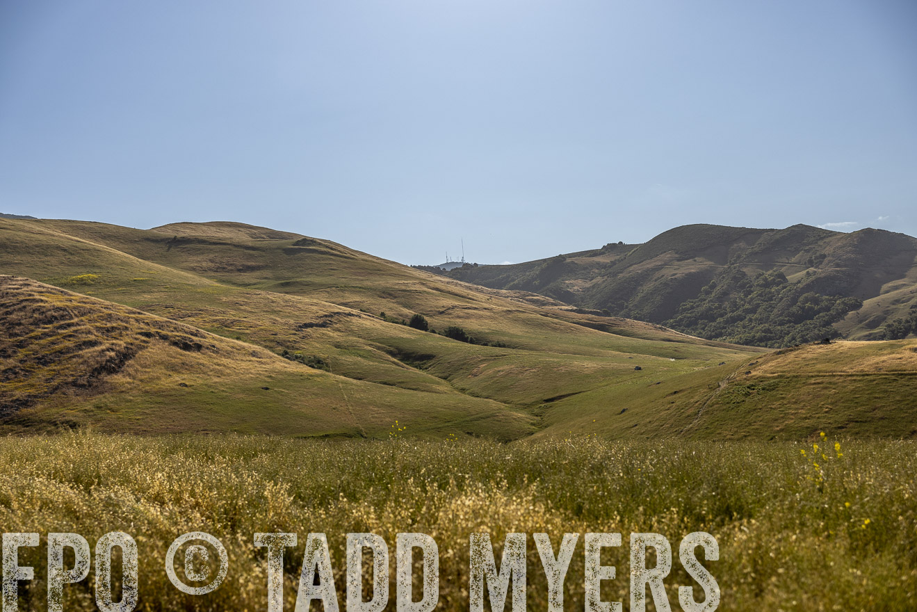 TMyers_CalPoly_CA_May2023-520183