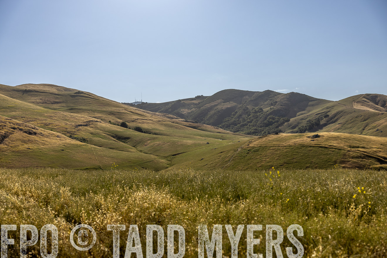 TMyers_CalPoly_CA_May2023-520189