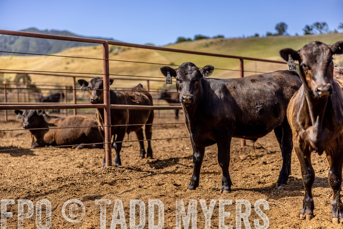 TMyers_CalPoly_CA_May2023-520243