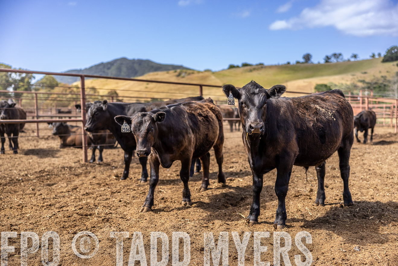 TMyers_CalPoly_CA_May2023-520247