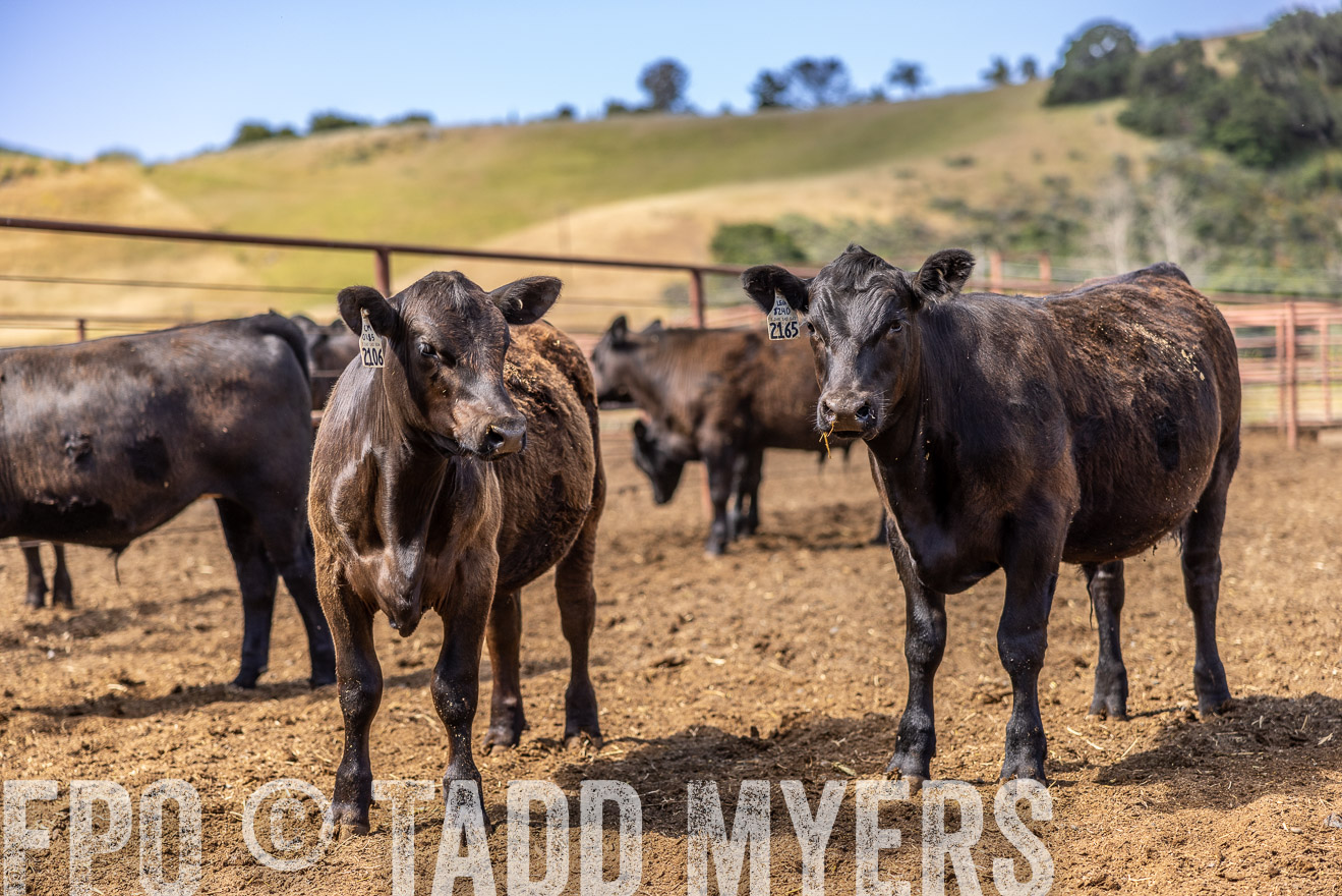 TMyers_CalPoly_CA_May2023-520250