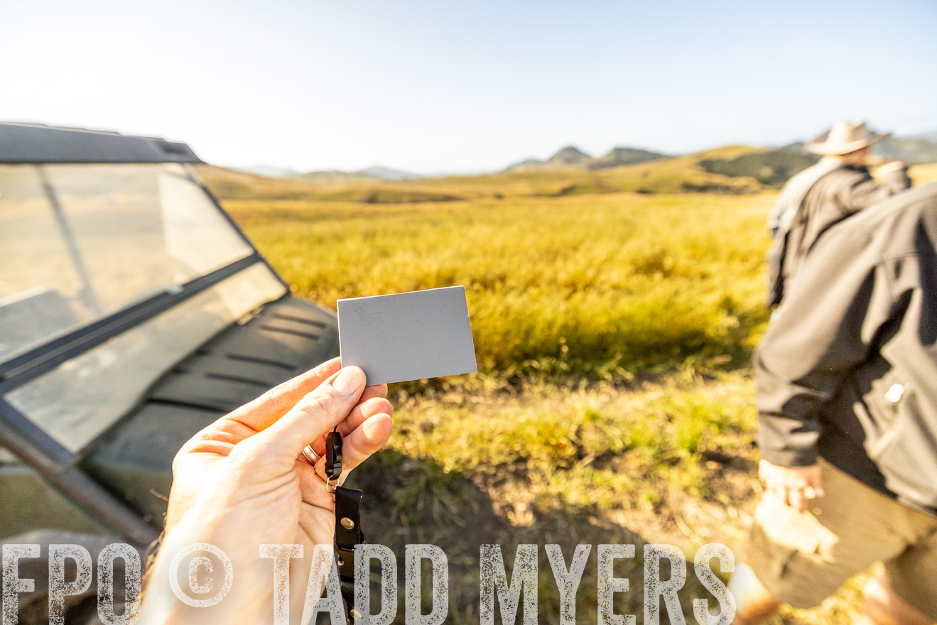 TMyers_CalPoly_CA_May2023-521661