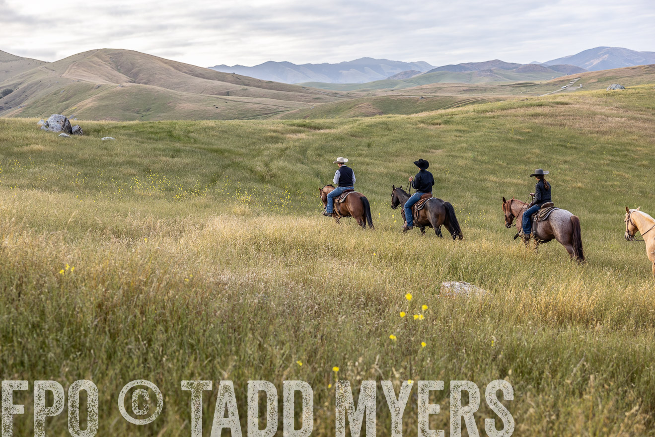 TMyers_CalPoly_CA_May2023-525295