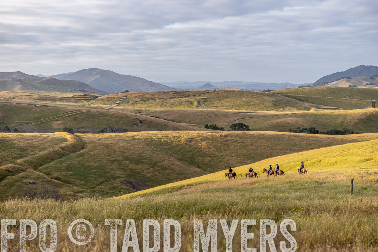 TMyers_CalPoly_CA_May2023-525543