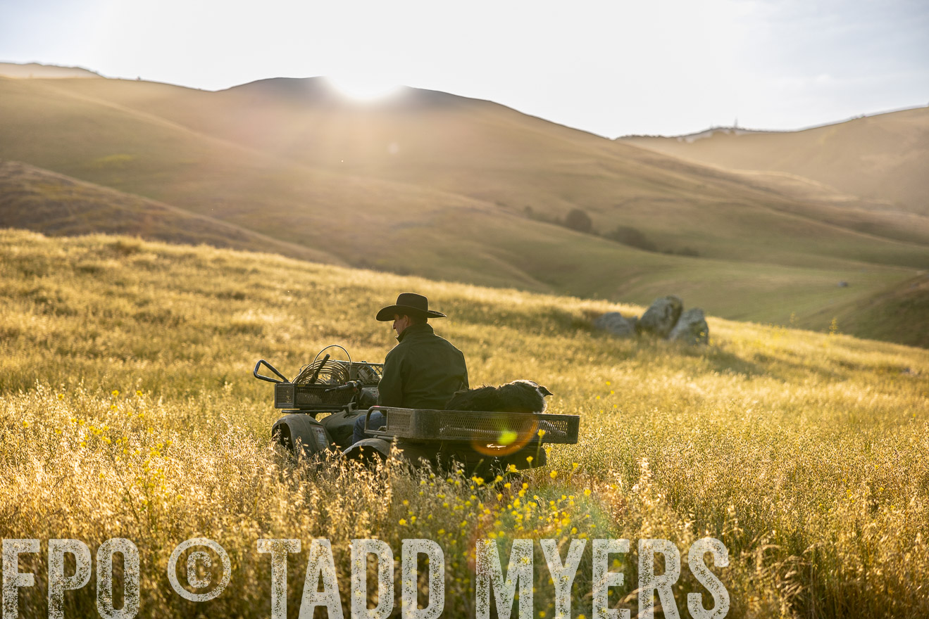 TMyers_CalPoly_CA_May2023-525891