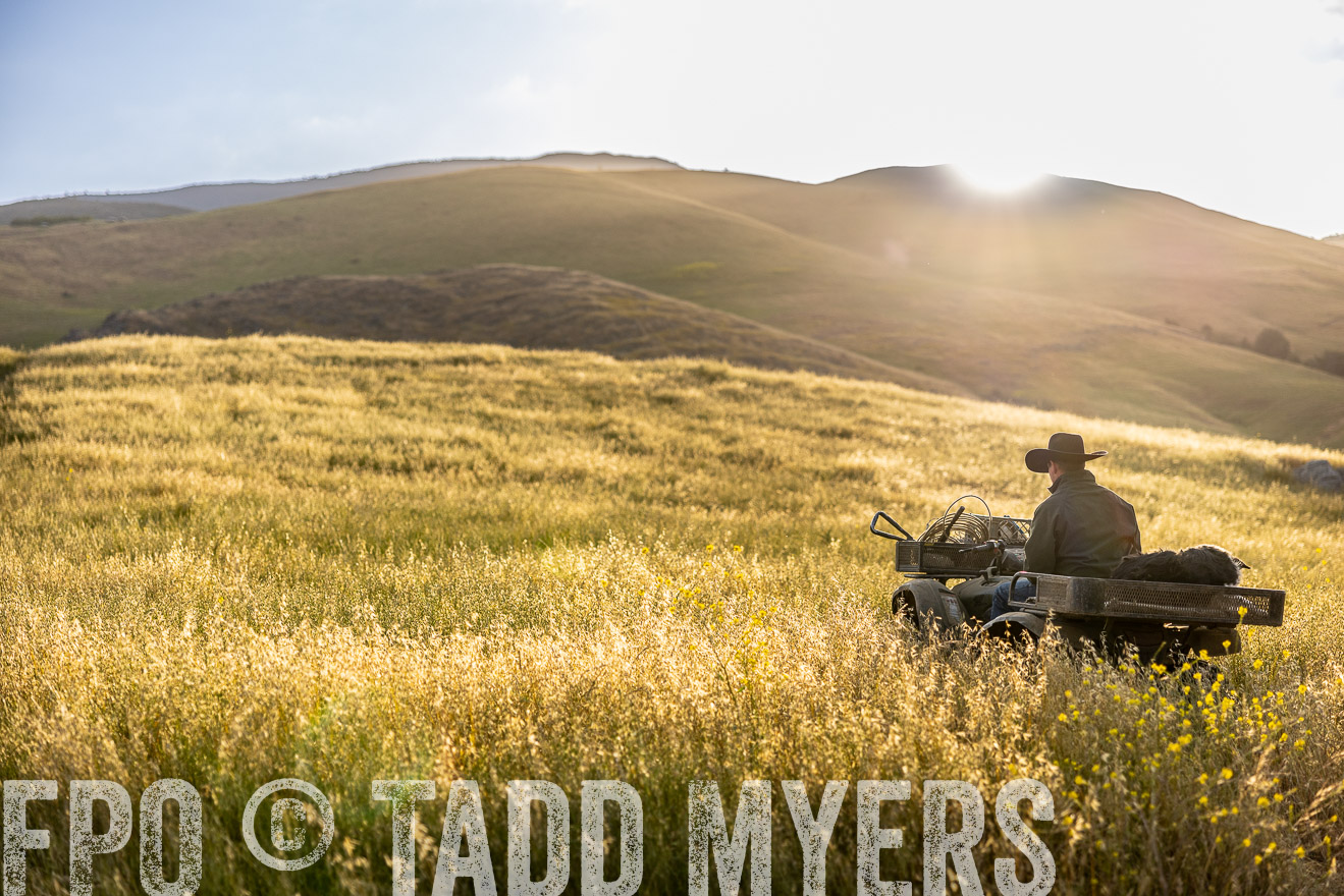 TMyers_CalPoly_CA_May2023-525897