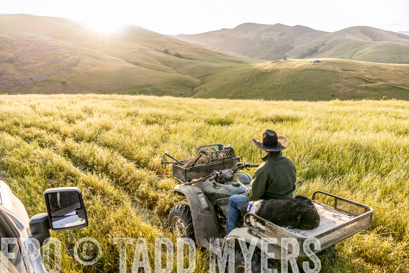 TMyers_CalPoly_CA_May2023-526011