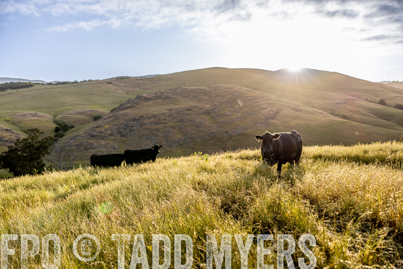 TMyers_CalPoly_CA_May2023-526141