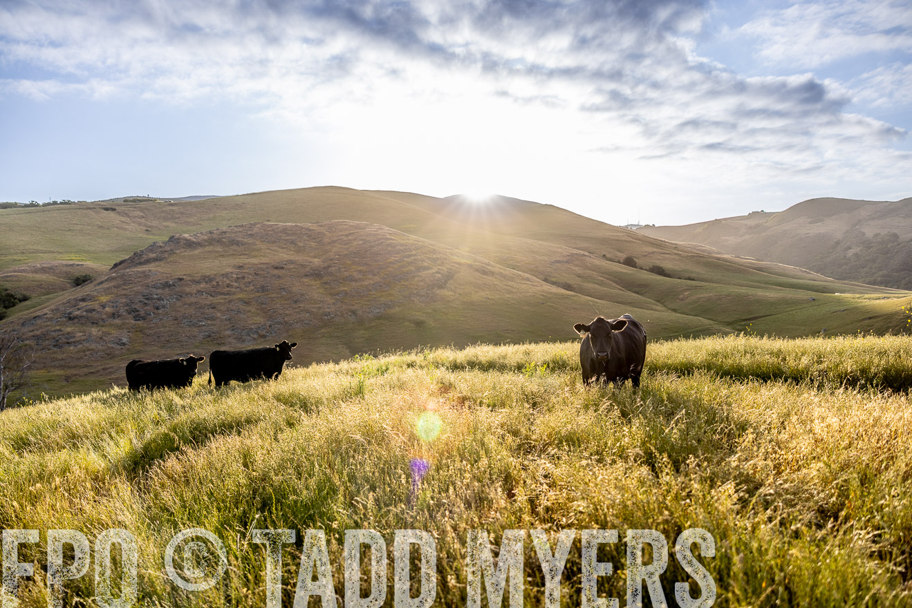 TMyers_CalPoly_CA_May2023-526162