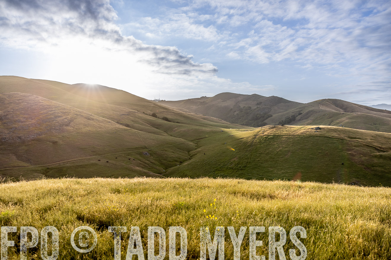 TMyers_CalPoly_CA_May2023-526202