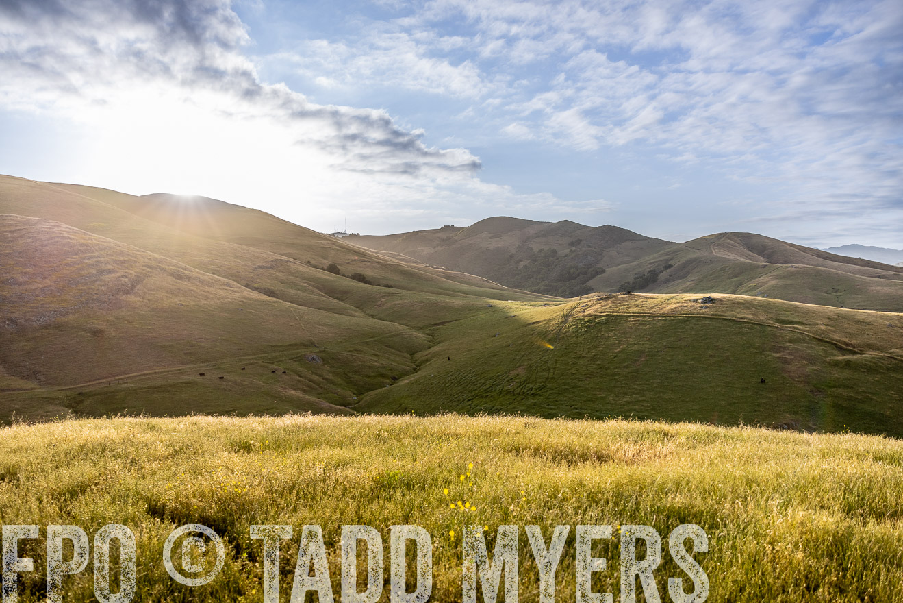 TMyers_CalPoly_CA_May2023-526206
