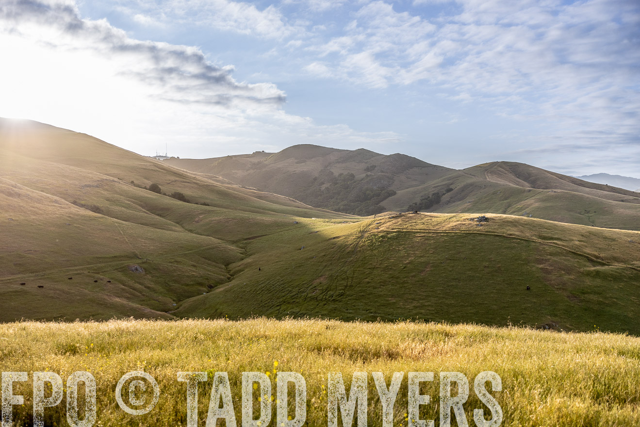 TMyers_CalPoly_CA_May2023-526213