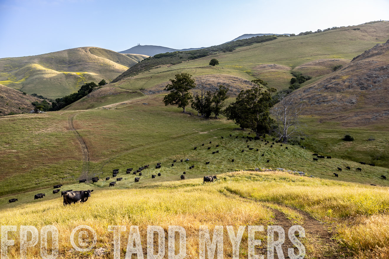 TMyers_CalPoly_CA_May2023-526222
