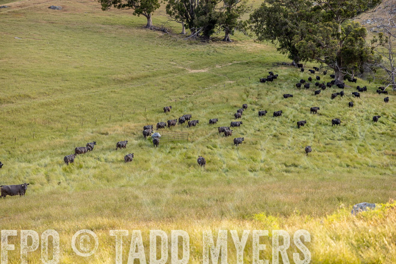 TMyers_CalPoly_CA_May2023-526230