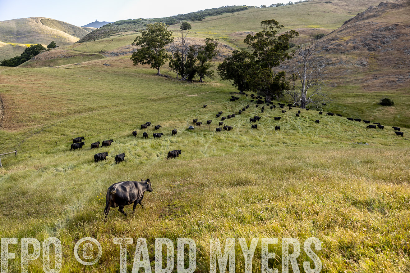 TMyers_CalPoly_CA_May2023-526275